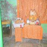 Vraj-Yatra-2014- (2537)